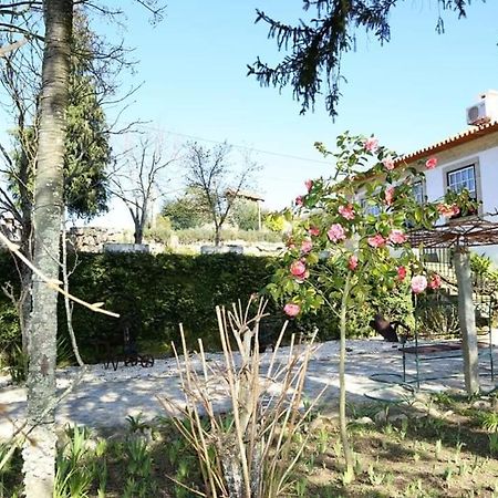 Quinta De Vila Verde- Paixao Ancestral, Turismo Rural Marco de Canavezes 외부 사진